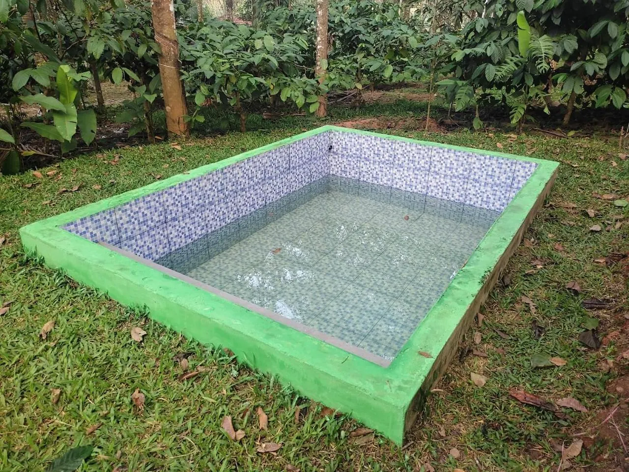 Green Wayanad Homestay Kenichira 0*,  インド